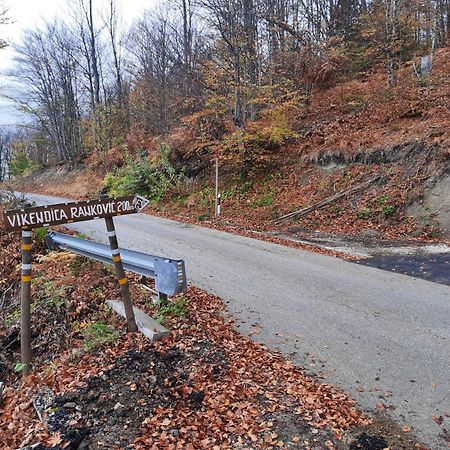 Vikendica Rankovici Villa Mokra Gora Exterior foto