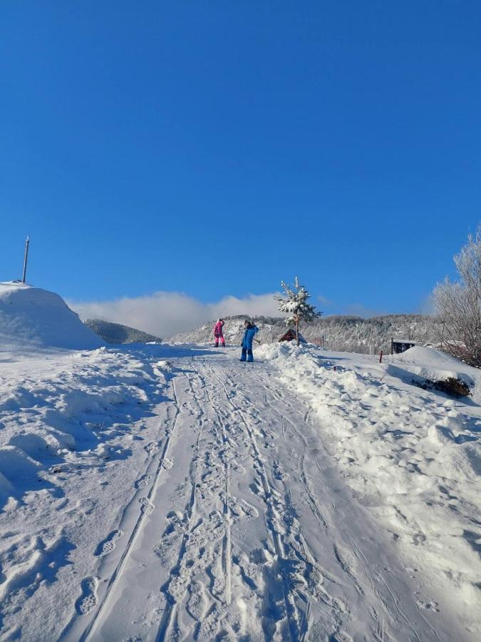 Vikendica Rankovici Villa Mokra Gora Exterior foto