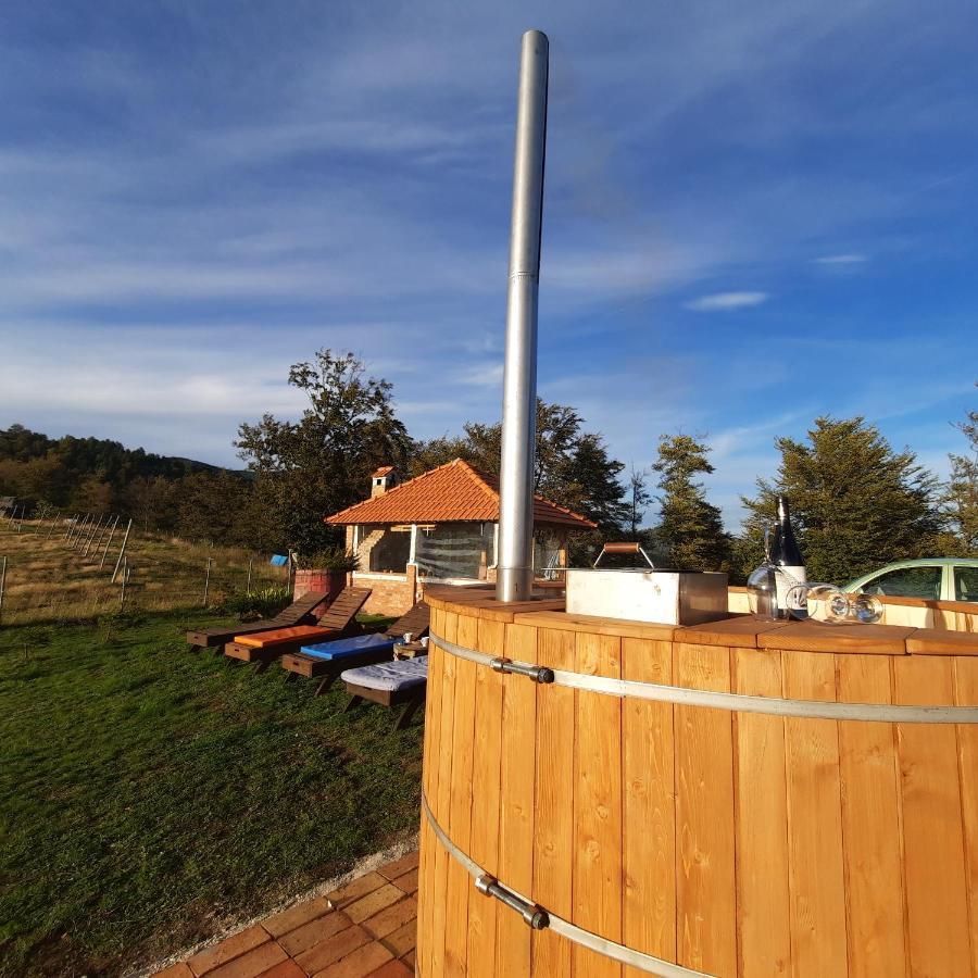 Vikendica Rankovici Villa Mokra Gora Exterior foto