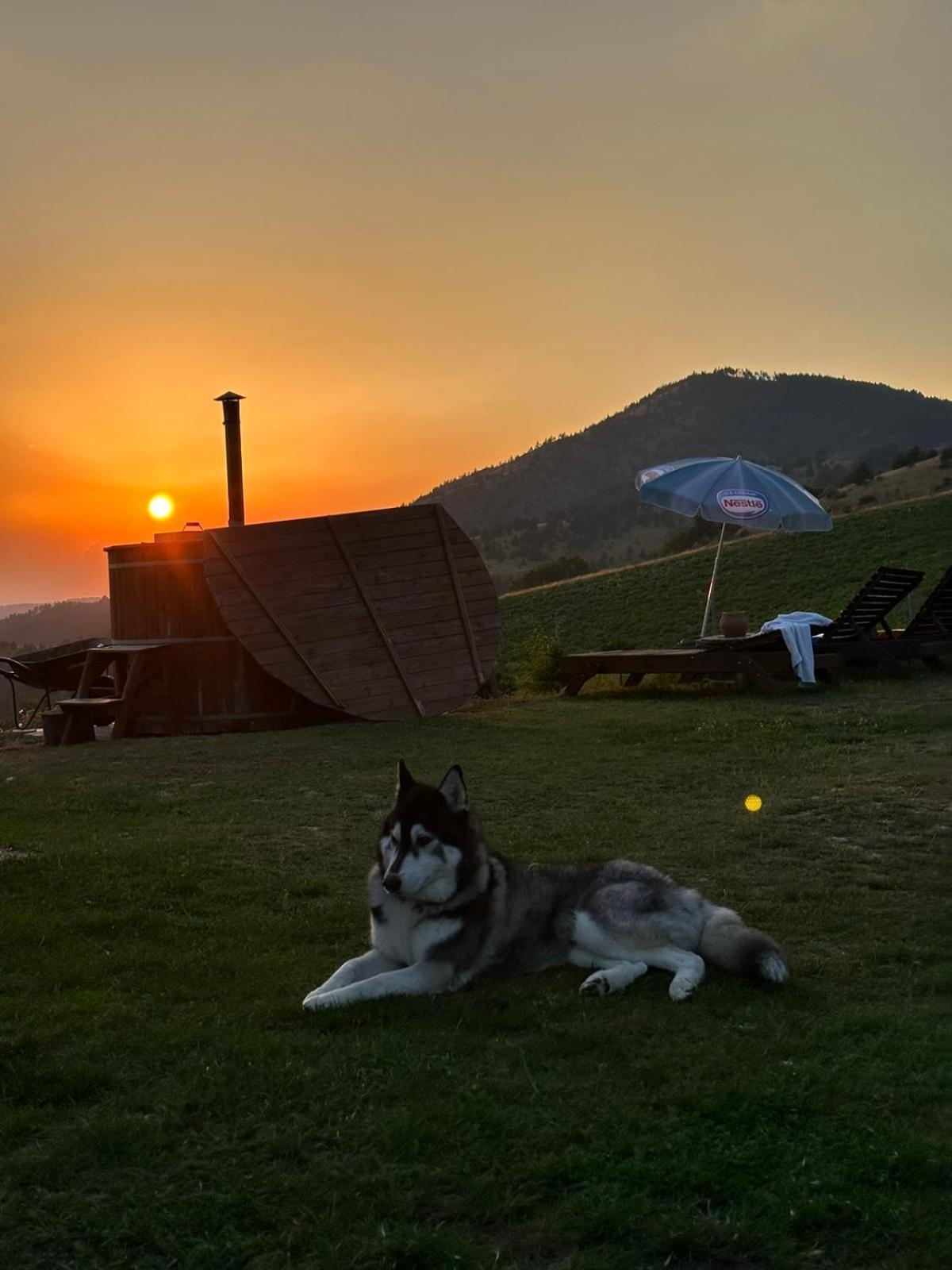 Vikendica Rankovici Villa Mokra Gora Exterior foto