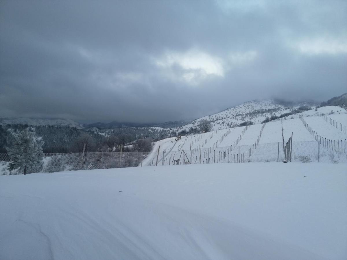 Vikendica Rankovici Villa Mokra Gora Exterior foto